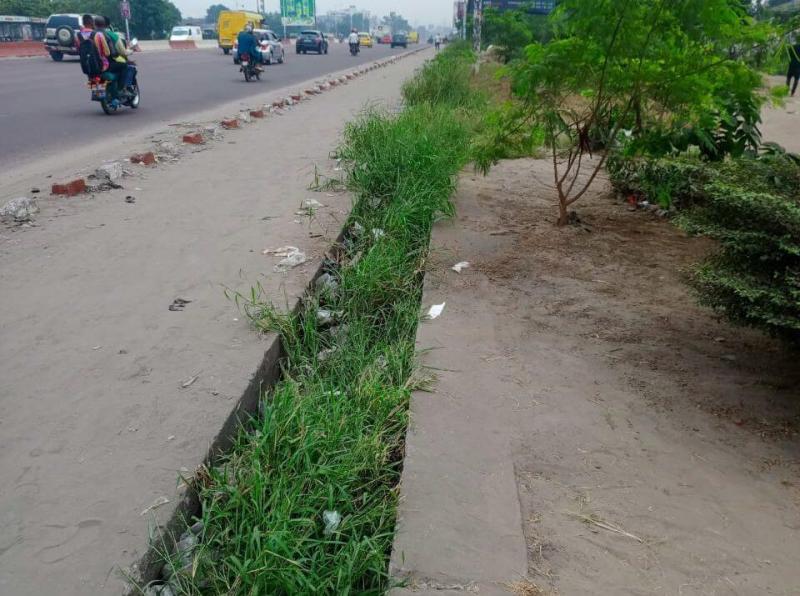 Parcelle sur petit blvd Lumumba Limete 25 sur 47m 1.500.000